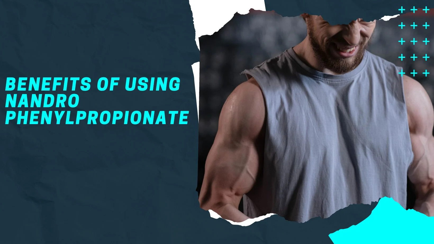 benefits of Nandrolone Phenylpropionate